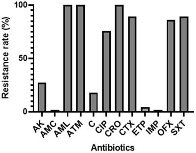 Prevalence and characterization of ESBL-producing Escherichia coli in healthy pregnant women and hospital environments in Benin: an approach based on Tricycle